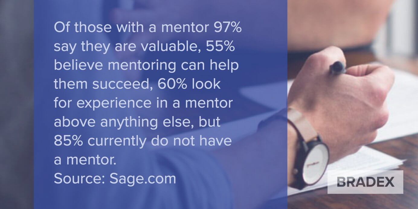 SME value mentor relationship