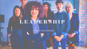 charity governance lessons for business