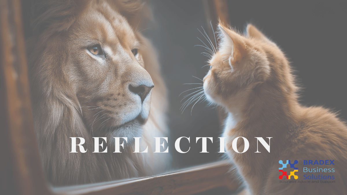 Featured image for “Reflection Series Q&A”